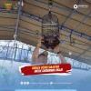Lomba Burung Berkicau Wali Kota Feat IKM Cup 2, Andi Harun : Junjung Sportivitas dan Jalin Silaturahmi