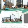 Lewat Gema Ramadan, Andi Harun Ajak ASN Maksimalkan Ibadah di 10 Hari Terakhir dan Perkuat Integritas