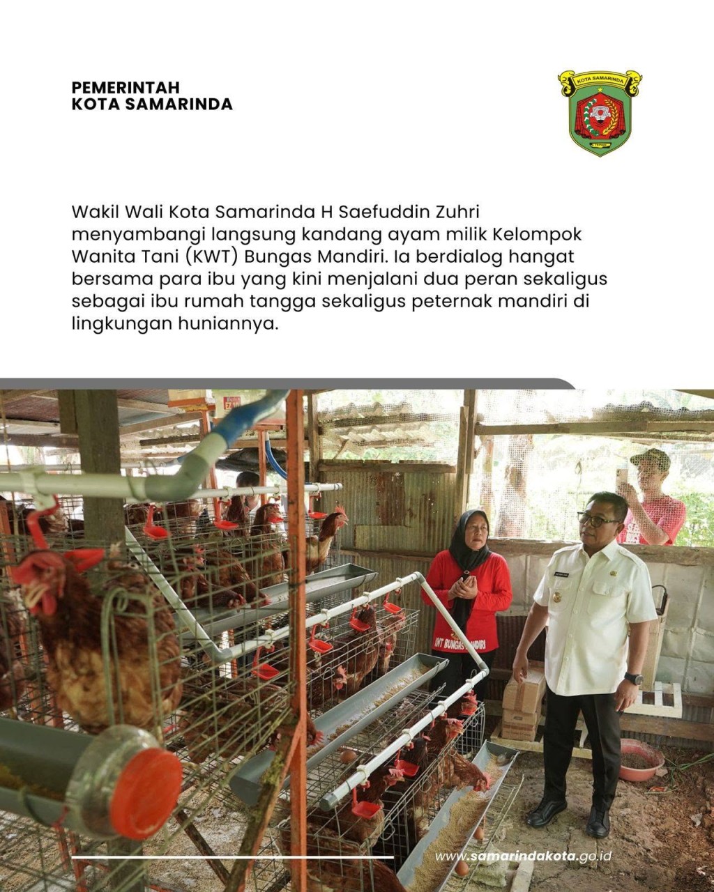 Ternak Ayam di Halaman Rumah, 8 Ibu di Samarinda Raup Rp500 Ribu Sebulan , Wawali Langsung Tinjau